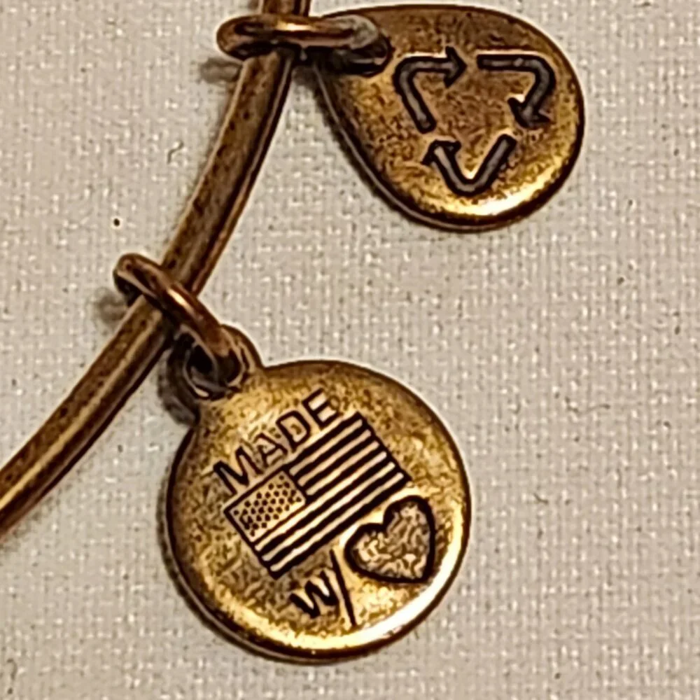 Alex and Ani Las Vegas Poker Chip Charm Gold Tone Energy Bangle Rafaelian Gold - Picture 6 of 8